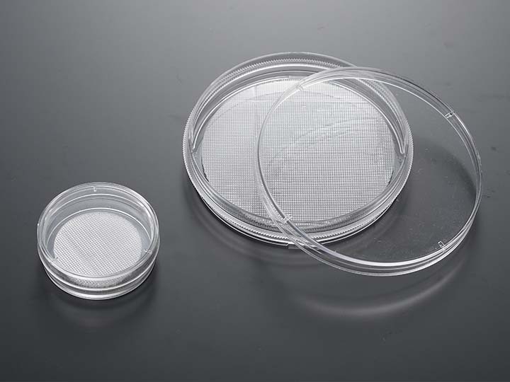 內(nèi)頁720×540 拷貝.jpg