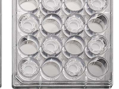 配有清晰的數(shù)字孔標(biāo)識(shí)，便于區(qū)分識(shí)別，方便記錄