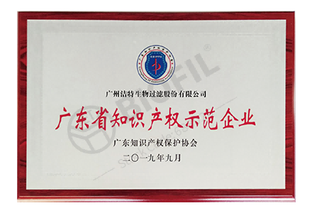 廣東省知識產(chǎn)權(quán)示范企業(yè)