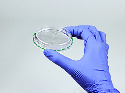 皿底抬高與邊緣持握設(shè)計， 方便握取與操作，穩(wěn)定疊放不易倒