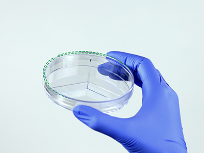 皿蓋邊緣突起設(shè)計(jì)，有利于培養(yǎng)皿穩(wěn)定疊放